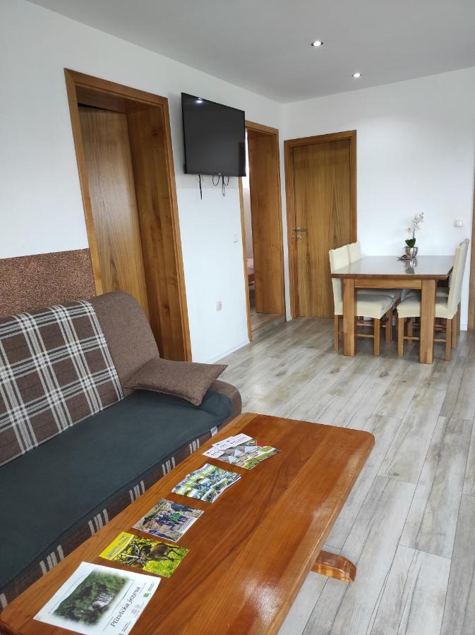 Apartman Jakov Rakovica Exterior foto